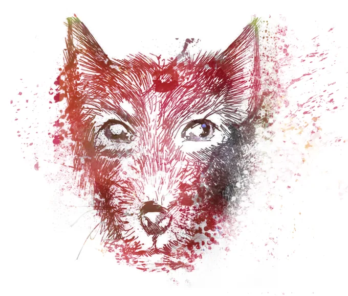 Original illustrated TasmanianDevil project graphic